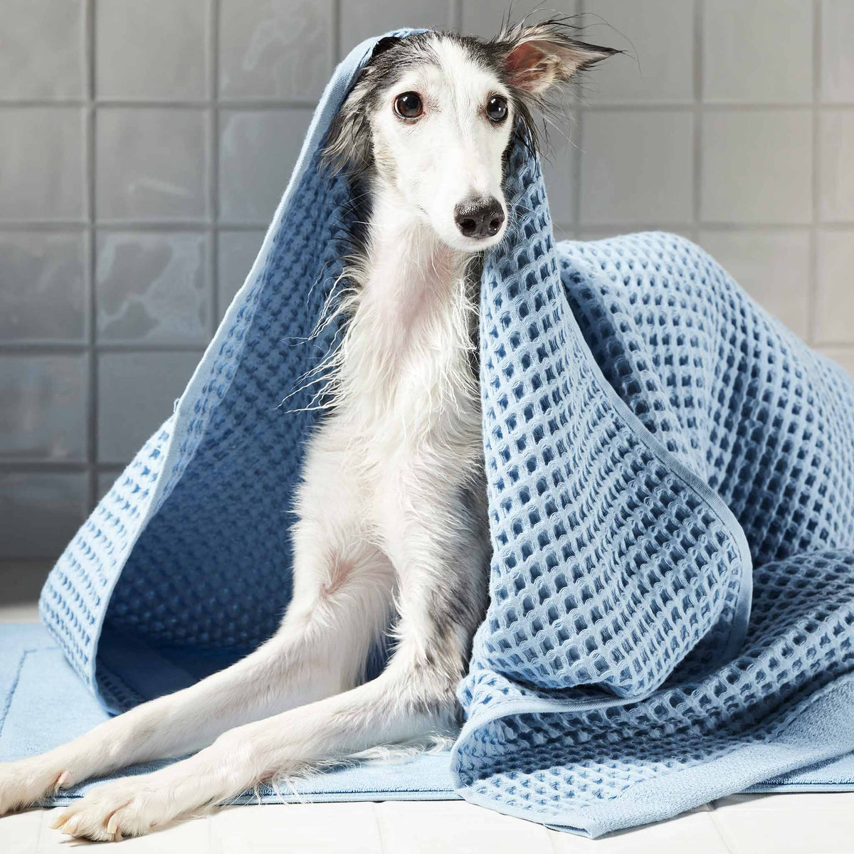 Dreamweave Waffle Bath Towels Set of 2 A4