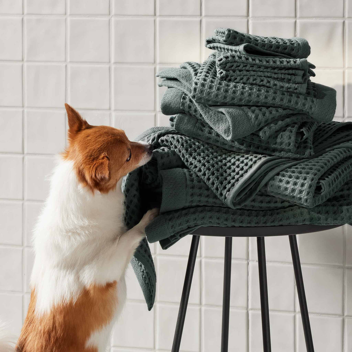 Dreamweave Waffle Bath Towels Set of 2 A4