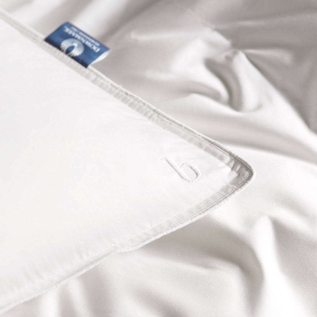 Down Pillow B8