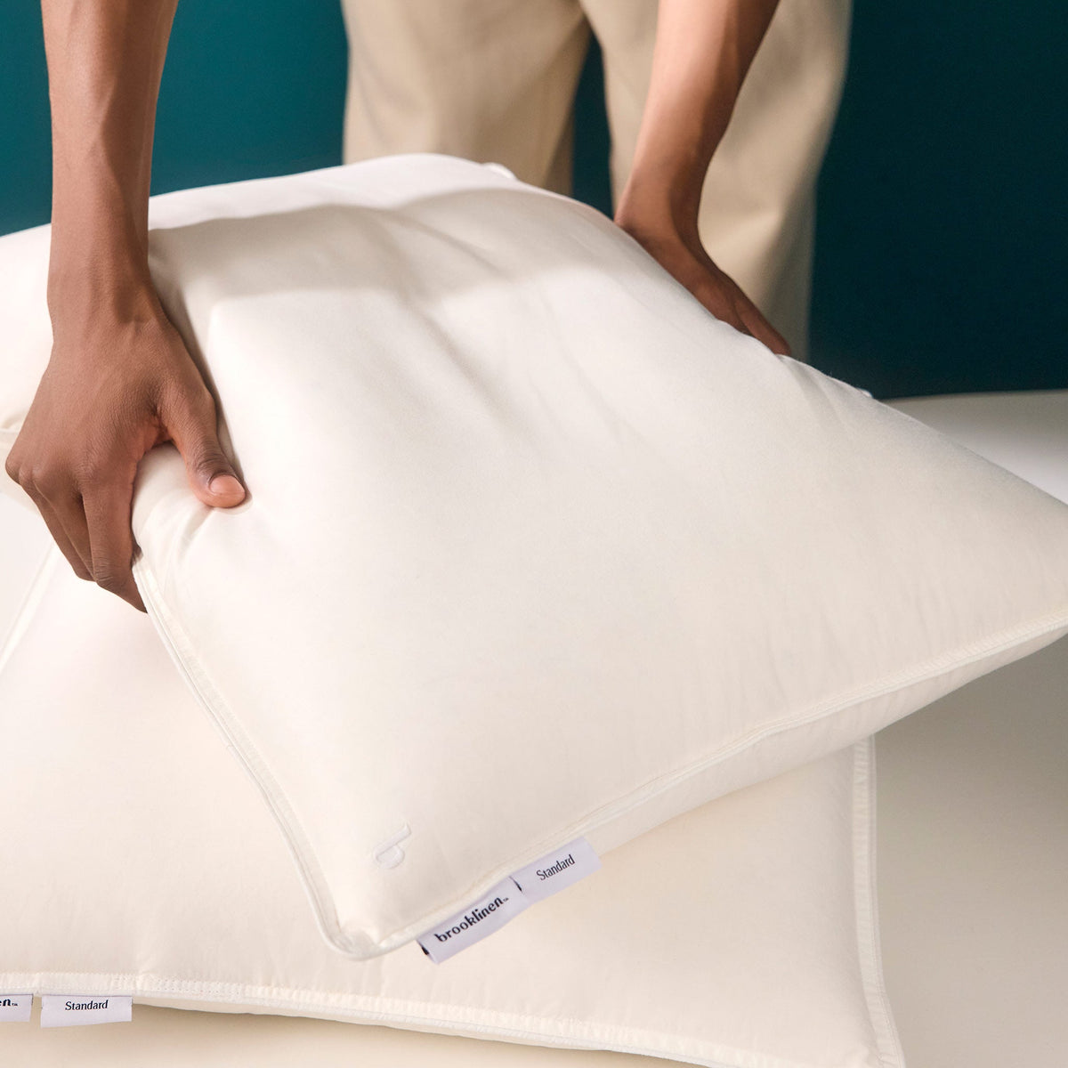 Down Pillow B8