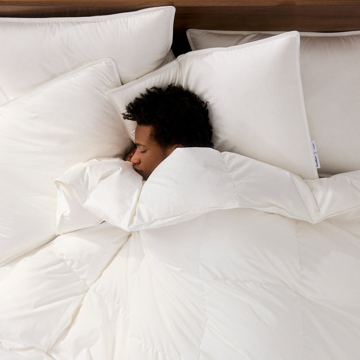 Down Pillow B8