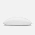 Down Pillow B3