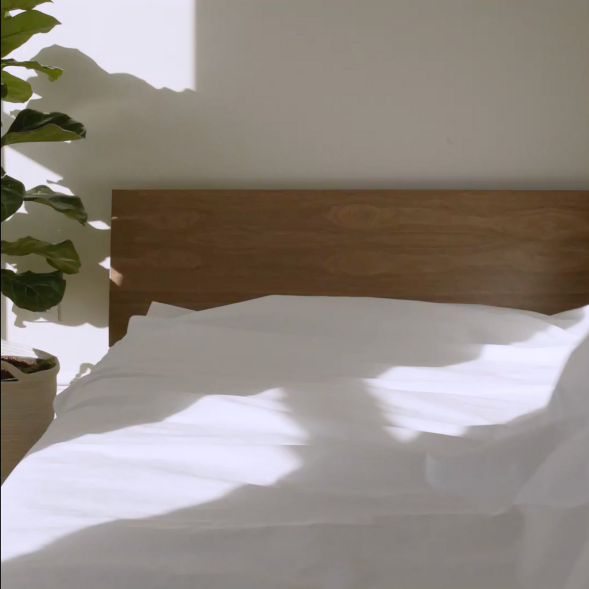 Classic Percale Core Sheet Set F0